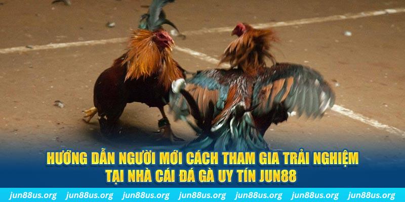 868vip CQ9 Điện Tử