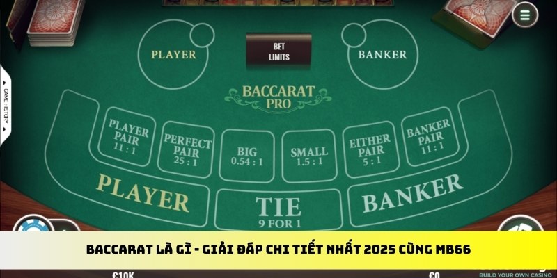 868vip gà chọi cu cần