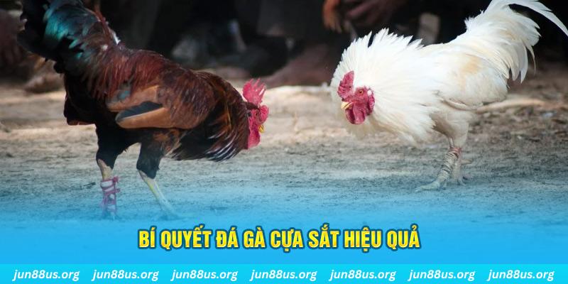 868vip xin 1 slot là gì