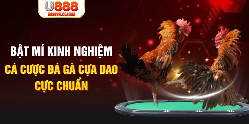 868vip tỷ lệ cá cược châu á là gì
