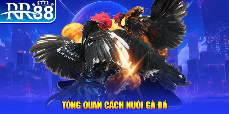 868vip VA Điện Tử
