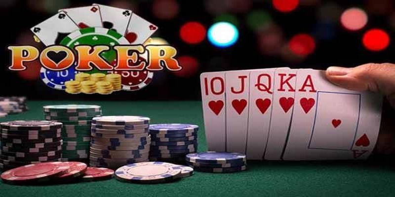 868vip đá gà thomo trực tiếp