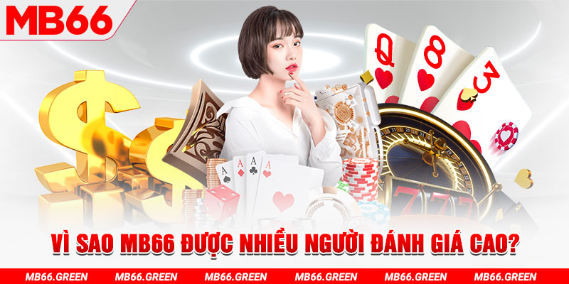 868vip đá gà