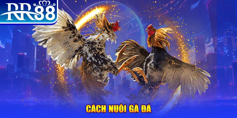 868vip xổ số an giang