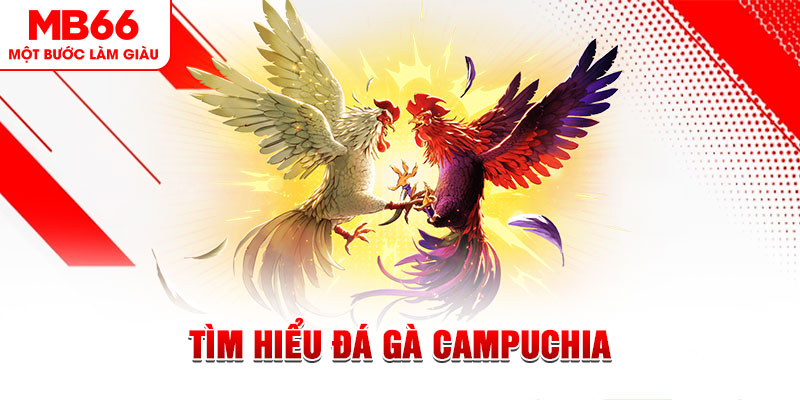 868vip đá gà trực tiếp