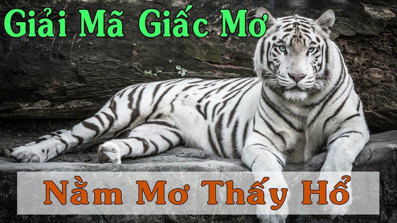 868vip WM Trực Tuyến