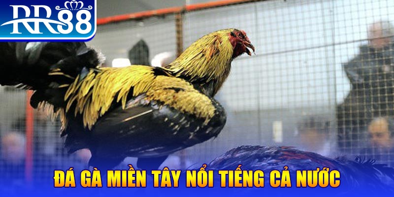 868vip JILI Game Bài 3d