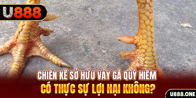 868vip nohu .mx nổ hủ là gì