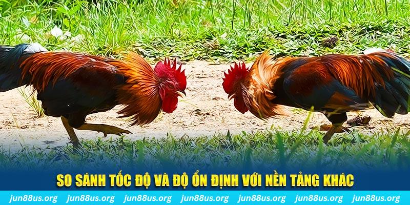 868vip đá gà hôm nay