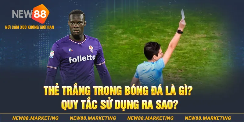868vip gà chọi mộc hóa