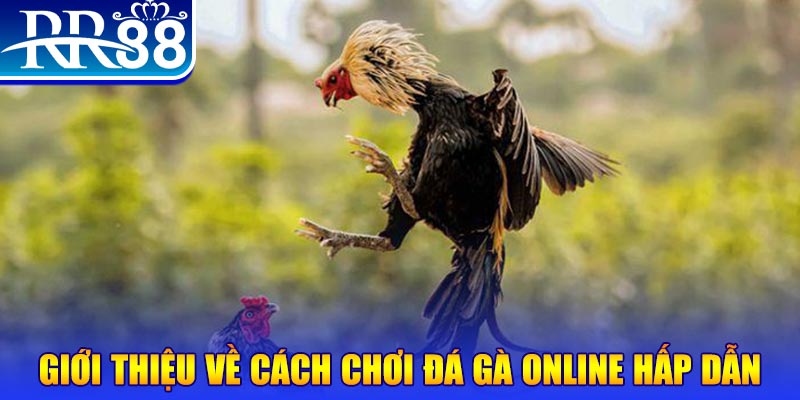 868vip game nổ hũ rút tiền mặt là gì