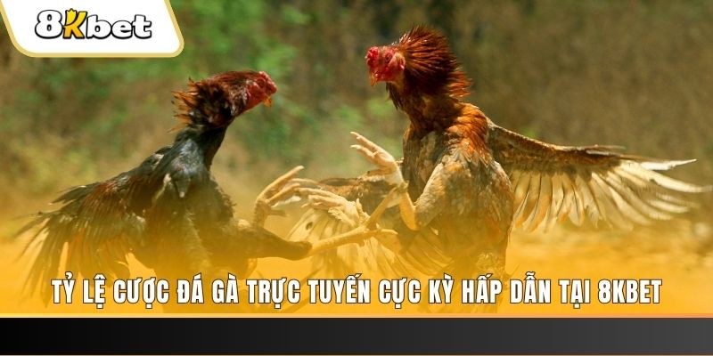 868vip đăng nhập phỏm trực tiếp