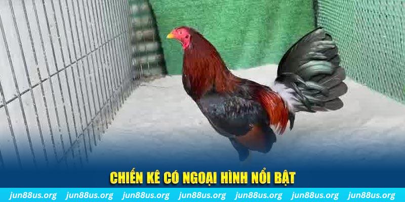868vip chạy quảng cáo cho game bài bị phạt như thế nào